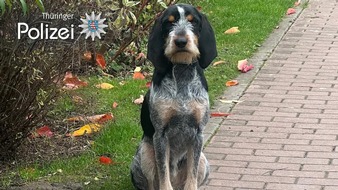 Landespolizeiinspektion Nordhausen: LPI-NDH: Fahndungserfolg zur Nachtzeit - Polizeihubschrauber und Personensuchhund arbeiten erfolgreich