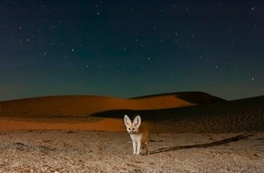 ZDF: "Terra X: Säugetiere": neue sechsteilige BBC/ZDF-Dokureihe