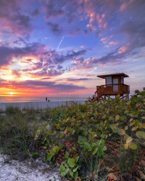 Zwischen Meer und Mangroven: Die Tierwelt der Bradenton Gulf Islands