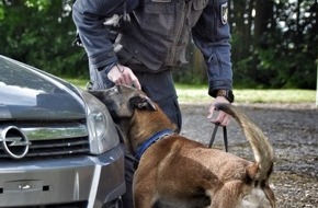 Polizeidirektion Osnabrück: POL-OS: Banknotenspürhunde erschnüffeln über 110.000 Euro bei mehreren Durchsuchungen