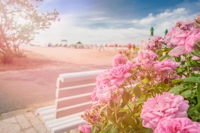 Gesund werden, wo andere Urlaub machen: Albena vereint Medizin, Natur und Erholung