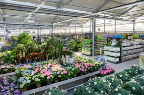 Pressemitteilung: Dehner feiert Jubil&auml;um &ndash; 30 Jahre in &Ouml;sterreich