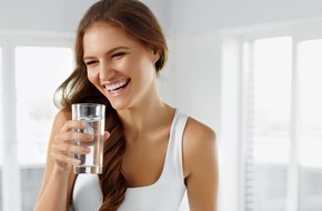 Selfio GmbH: Wasserfilter für den Hausanschluss – Rückspülfilter & Feinfilter