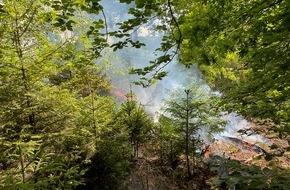 Polizeidirektion Trier: POL-PDTR: Brand eines Waldgeländes in Hermeskeil