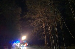 Polizeiinspektion Nienburg / Schaumburg: POL-NI: Orkantief "Victoria" stürzt Baum auf fahrenden Pkw / Vollsperrung Landesstraße