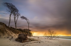 Tourismusverband Mecklenburg-Vorpommern: Reportage: Lichtspiele zwischen Ostsee und Bodden