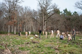 Laverana GmbH: Internationaler Tag des Baumes - Pflanzprojekt für die Zukunft von Chambord