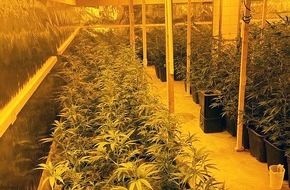 Polizei Mettmann: POL-ME: Schlag gegen den organisierten Drogenhandel: Polizei nimmt professionell betriebene Cannabis-Plantage hoch - Velbert - 2307029