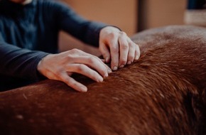 Julia Greb: Starker Pferderücken: Pferde-Physiotherapeutin verrät die 5 besten Übungen dafür