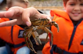 Tourismus-Agentur Schleswig-Holstein GmbH: Gro&szlig;e Erlebnisse zum kleinen Preis &ndash; Mikroabenteuer im echten Norden