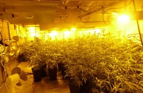 Kreispolizeibehörde Herford: POL-HF: Verstoß gegen Betäubungsmittelgesetz - Marihuanaplantage entdeckt