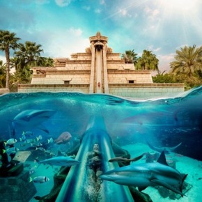 Atlantis, The Palm: Ein Leben auf der Überholspur - Vom Koch zum Vizepräsidenten