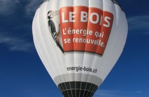 Holzenergie Schweiz: Dès 2010, 140 millions seront octroyés chaque année en faveur des énergies renouvelables