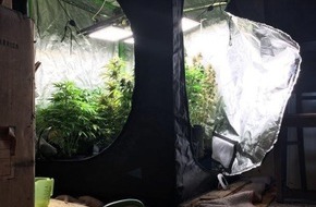 Polizeipräsidium Westpfalz: POL-PPWP: Indoor-Plantage unterm Dach