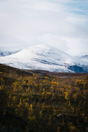 So schmeckt Lappland: Neue Food-Kampagne „Eat the landscape“ inspiriert mit arktischer Küche