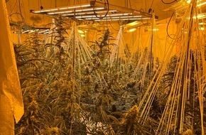Polizeiinspektion Cuxhaven: POL-CUX: Wohnungsbrand in Mehrparteienhaus in Stotel - Ein Anwohner schwer verletzt - Rettungshubschrauber im Einsatz - Geb&auml;udebegehung bringt Cannabis-Plantage ans Licht (Foto im Anhang)