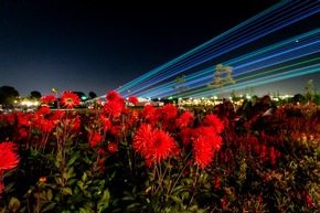 Landesgartenschau Neuss im Laserlicht: HerbstLichter starten mit großem Besucherandrang