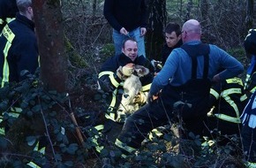 Feuerwehr Iserlohn: FW-MK: Hund aus Dachsbau gerettet