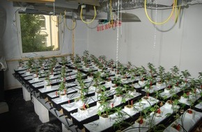 Polizeidirektion Hannover: POL-H: Indoorplantage ausgehoben Königsworther Straße / Calenberger Neustadt