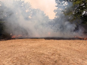 FW-Heiligenhaus: Vegetationsbrand im Stadtteil Isenbügel - rund 50 Einsatzkräfte über drei Stunden im Einsatz