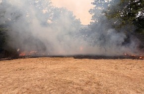 Feuerwehr Heiligenhaus: FW-Heiligenhaus: Vegetationsbrand im Stadtteil Isenb&uuml;gel - rund 50 Einsatzkr&auml;fte &uuml;ber drei Stunden im Einsatz