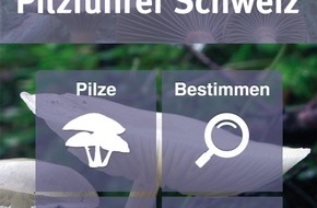 Haupt Verlag AG: Pilzführer Schweiz App / Jetzt neu: App für Schweizer Pilzfreunde im Haupt Verlag erschienen (BILD)