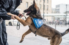 Bundespolizeidirektion München: Bundespolizeidirektion München: Beamter mit Diensthund schreitet ein / Bundespolizist unterstützt Zugbegleiterin