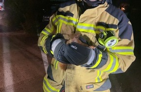 Freiwillige Feuerwehr Alpen: FW Alpen: Feuerwehr Alpen rettet Eichhörnchen aus Zwangslage