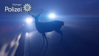 Landespolizeiinspektion Nordhausen: LPI-NDH: Zahlreiche Wildunf&auml;lle im Eichsfeld - Polizei warnt vor zunehmenden Wildwechsel