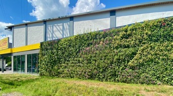 Netto Marken-Discount Stiftung & Co. KG: "Living Wall" für Netto-Filiale in Steilshoop