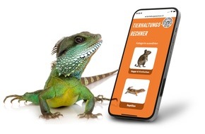 Schweizer Tierschutz STS: Medienmitteilung: Fast 60 000 tierquälerische Reptilienhaltungen in der Schweiz: Ein neues Online-Tool berechnet optimale Tierhaltung