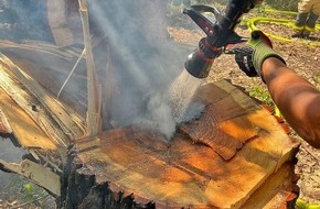 Feuerwehr Grevenbroich: FW Grevenbroich: Feuer in hohlem Baum löst stundenlangen Löscheinsatz aus / Aufmerksame Spaziergängerin verhindert Waldbrand