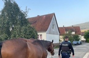 Bundespolizeiinspektion Kaiserslautern: BPOL-KL: Freilaufendes Pferd an Bahnstrecke eingefangen