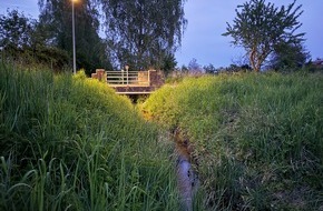 Rheinland-Pf&auml;lzische Technische Universit&auml;t Kaiserslautern-Landau (RPTU): Studie: Lichtverschmutzung ver&auml;ndert Nahrungsnetze an Flussufern