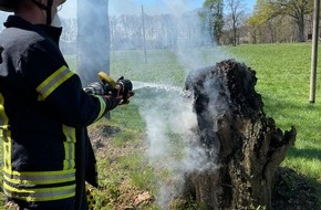 Feuerwehr Schermbeck: FW-Schermbeck: Brennender Baumstumpf sorgte für Einsatz