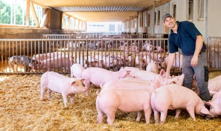 Kaufland: Fünf Jahre Qualitätsfleischprogramm - Erfolgreiches Engagement für mehr Tierwohl