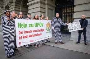 SWISSAID: UPOV: Wenn für den Tausch von Saatgut Gefängnis droht