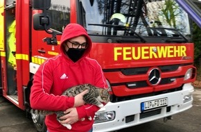 Feuerwehr Detmold: FW-DT: Tierrettung - Katze auf Baum
