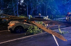 Feuerwehr Iserlohn: FW-MK: Baum stürzt auf vorbeifahrenden PKW