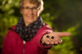 Schmallenberger Sauerland Tourismus: HeimatFreu(n)de gesucht