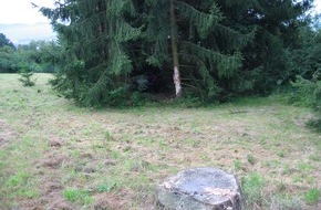 Polizeiinspektion Northeim: POL-NOM: Unfall mit totalbeschädigten PKW