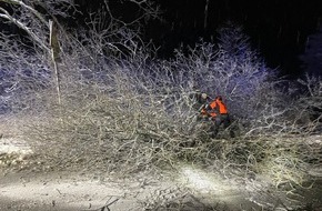 Freiwillige Feuerwehr Breckerfeld: FW-EN: Baum blockiert Fahrbahn