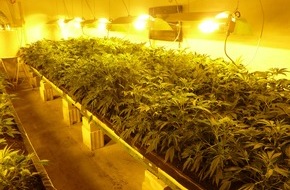 Polizeidirektion Hannover: POL-H: Polizei hebt Indoorplantage aus