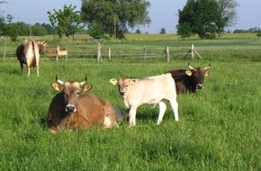 tegut... gute Lebensmittel GmbH & Co. KG: Presseinformation: Forschungsinstitut KWALIS bestätigt - Kühe mit Hörnern geben eine hochwertigere Milch als enthornte Kühe