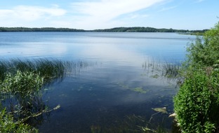 Global Nature Fund: Gewässer, Seen und Feuchtgebiete im Klimastress: GNF informiert in Onlineseminar