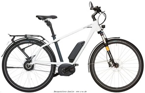 Polizeidirektion Worms: POL-PDWO: E-Bike entwendet