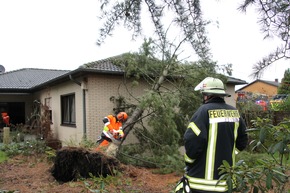 FW-WRN: TH_1_B: Baum auf Dach gestürzt