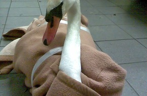 Feuerwehr Essen: FW-E: Mein lieber Schwan