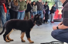 Polizeiinspektion Emsland/Grafschaft Bentheim: POL-EL: Lingen - Schüler*innen als Buslotsen ausgebildet