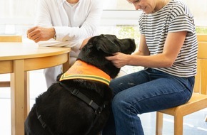 Universitätsklinikum Essen AöR: Therapiehund am Krankenbett: Hannibal und Flip ergänzen die Krebstherapie